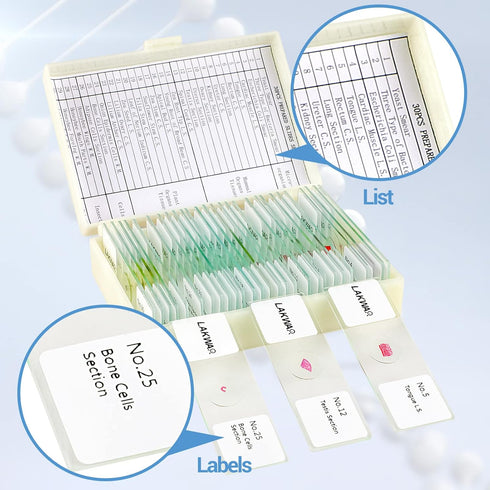 30 Microscope Slides with Specimens for Kids, Prepared Slides for Microbiology, Biology Gifts for Adults
