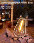 GLUROO LED String Light Bulbs, ST38 Shatterproof, E12 C7 Screw Base, 1W Equivalent to 7W Incandescent, 4 Pack