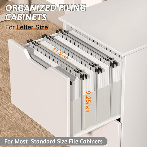 Plastic Extra Capacity Hanging File Folder, 12 Pack, Letter Size, Reinforced Hang Folders, Heavy Duty 2 Inch Expansion