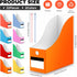 Jutom 32 Pcs Magazine File Holder Set, Colored Foldable Desk Organizer with White Label Stickers, Cute Cat Design