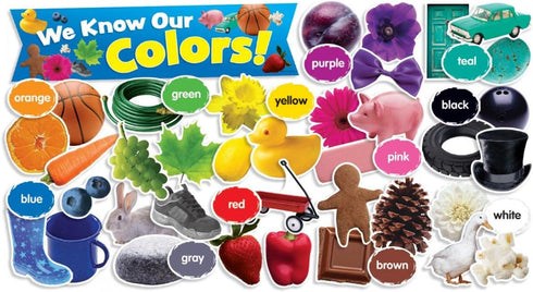 Scholastic Teacher's Friend Colors in Photos Mini Bulletin Board, Multiple Colors (TF8090) by Scholastic