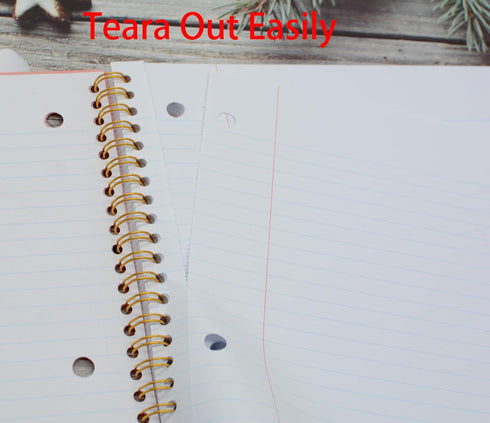 YIKANGHENG Tearable Loose-leaf Spiral Notebook, 2 Pcs, 2 Color, 80 Sheets (160 Pages), 10.5 x 8.27 Inch, Blue and Pink