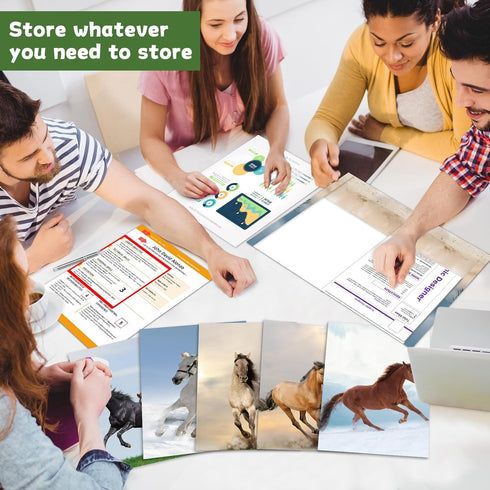 Horse Decorative File Folder Set, 2-Pocket Folder Set with 6 Designs, Laminated Folder for Teachers Students School