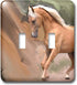 3dRose lsp_4799_2 Double Toggle Switch, Palomino Horse