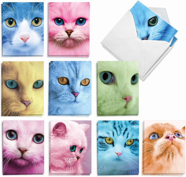 The Best Card Company 20 Adorable Cat Greeting Cards, Blank Assortment (4 x 5.12 Inch, 10 Designs, 2 Each)