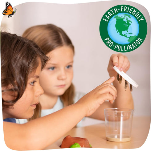 2 10 Insect Lore Cups of Caterpillars Basic - Live Baby Painted Lady Caterpillars - Refill for Habitat Kit