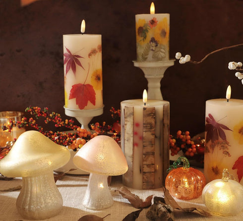 Glass Small Mushroom Table Lamp - Mushroom Night Light Battery Operated Warm Amber Glow Cute Bedside Lamp for Kids