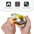 Sturin 1 3X5 Colorful Squirrel Wall Plate Light Switch Cover Gang Single Toggle Toggle Switch Art Plates