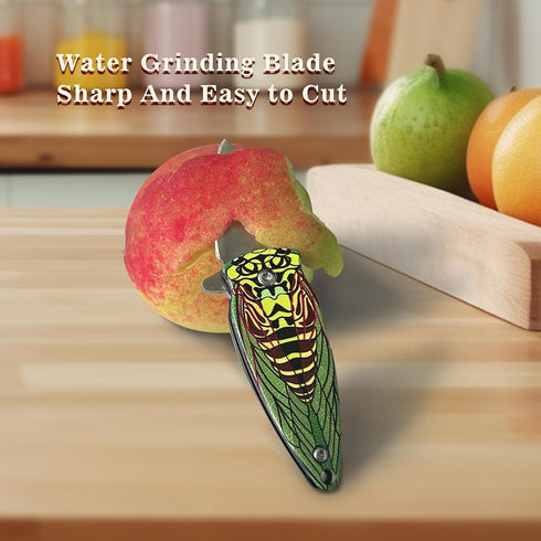 Mini Keychain Knife, Small Stainless Steel Folding Knife for Outdoor Camping, Gifts for Men and Women