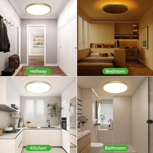 12 Inch 1800K, 3000K/4000K/6500K Dimmable zemty LED Ceiling Light with Night Light Fixture with Remote Control, Low