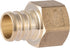 SharkBite Brass Plumbing Fitting, 3/4 x 1/2 Inch FNPT Crimp Connector for PEX Pipe, PE-RT, UC092LFA