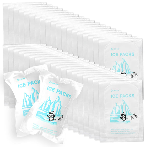 Small Shipping Dry Ice Packs, 48 Bulk Dry Ice Sheets for Coolers, Reusable, Long Lasting