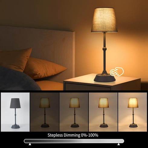 Dimmable 6000mA LED Cordless Grey Table Lamp Portable Desk Lamp Battery Powered Touch Control Table Lamp Dining
