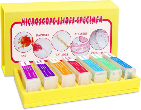 35PCS Prepared Microscope Slides with 7 Types Specimens, Insect/Plant Glass Sample Slide for Kids Adults Family Preschool Education Scientific Enlightenment