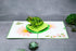Green Frog Pop Up Card, Blank Frog Card with Envelope for Birthday, Kids Gift, Thank You, Get Well Soon