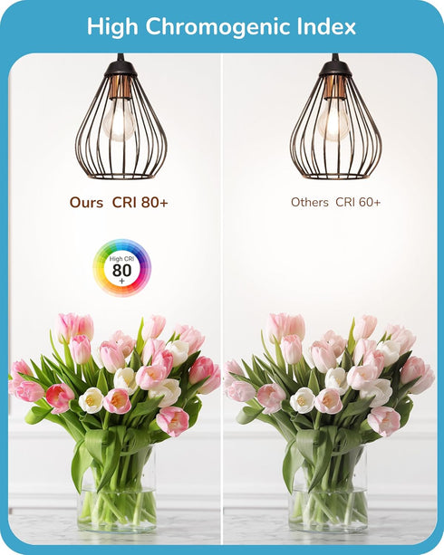 EDISHINE 6 Pack LED Edison Bulbs, A19 Dimmable, 800LM, 4000K Cool White Light, E26 Base, 8W Equivalent 60W