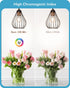 EDISHINE 6 Pack LED Edison Bulbs, A19 Dimmable, 800LM, 4000K Cool White Light, E26 Base, 8W Equivalent 60W