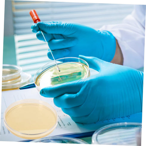 Agar Plates 10pcs Nutrient Agar Plates, Borosilicate Glass Petri Dishes for Plastic Plants Laboratory Round Colombia