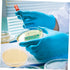 Agar Plates 10pcs Nutrient Agar Plates, Borosilicate Glass Petri Dishes for Plastic Plants Laboratory Round Colombia