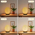 Winawing 3D Dimmable Table Lamp Bedside Small Side Table Lamp with Woodbase Peach Printing Button Control Table USB