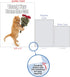 NobleWorks Jumbo Thank You Greeting Card - Cat Design, 8.5 x 11 Inch with Envelope (1 Pack)
