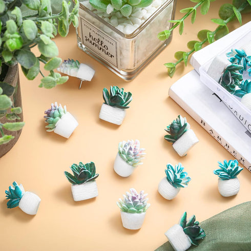 Push Pins Cute Decorative Push Pins Set for Cork Board Succulent Push Pins for Wall Fun Office Supplies Thumb Tacks Decorative Bulletin Board Maps Photos Wall Classroom Supplies (20 Pcs) by Yinder