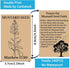 Fankya 240pcs Mustard Seed Cards Gospel Tracts Religious Christian Roman Road Salvation Tract Serenity Prayer Pocket