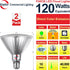 PAR38 Bulbs, 120W Dimmable, 2-Pack Explux Full Glass Outdoor Flood Green Light Equivalent Direct LED Color Emission