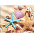 Seashell Gaming Mousepad, Colorful Seashell Starfish on Beach Mouse Pad for Computer Desk, 9.5 x 7.9 Inch