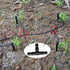 280 Pcs Barbed Connectors Irrigation Fittings Kit for Drip Irrigation 1/4'' Tubing for Garden Lawn