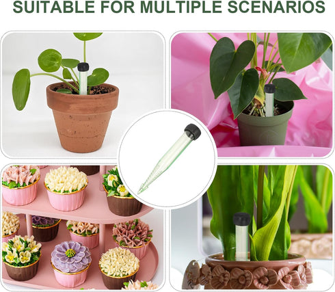 50Pcs jojofuny Transparent Flower Tubes for Fresh Flower Arrangements Hydroponic Nutrient Vials for Roses Carnations