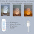 Stands,Dimmable Small Table Lamp for Bedroom-Bedside Lamps for Night Nightstand Light Lamp,Unique Lamps for Kids