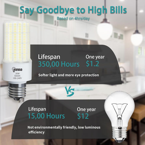 LED Light Bulb, 250W Equivalent, 30W 3750 Lumen, 5000K Cool Daylight White, E26/E27 Medium Base, Pack of 2