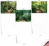 The Best Card Company - 20 Blank Landscape Nature Note Cards (4 x 5.12 Inch) - Nature Trails (10 Designs, 2 Each)