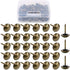 Hilitchi 200-Pieces 7/16''(11mm) Antique Brass Tacks Bronze Nail Pins Upholstery Nail Tacks Assortment Kit