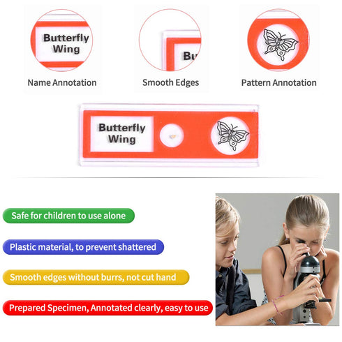 Plastic Prepared Microscope Slides for Kids, Cainda 60pcs Biological Samples of Animals, Insects, Plants, Flowers