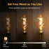 G125/G40 Bulb 2200K Dimmable Bulb,6W E26 Bulb 1Pack Large Vintage Oversized LED Edison Amber Glass Warm White Light