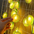 Vibrant Lime Slice LED String Lights for Outdoor Decor