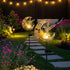 LightHummingbird Hummingbird Waterproof Outdoor Solar Solar LightMoon SolarLightSolar Butterfly Floor Lamp for Garden