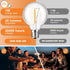 25 Pack G40 LED Replacement Light Bulbs, E12 Screw Base Waterproof Globe Bulbs Light for Indoor Outdoor String Lights, Patio Cafe Decor, Dimmable, Warm White, Not Solar by GvvooHome