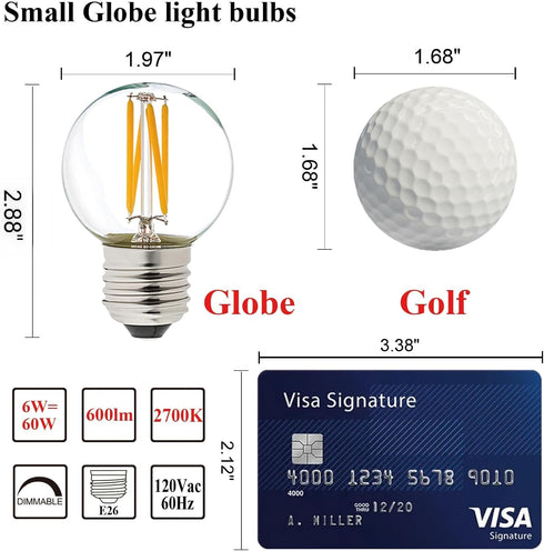 Dimmable E26 Bulb G16.5 Bulb 6W 60 Bulb AC120V 2700K E26 Bulb Bulbs 60 600lm 6Pack LiteHistory Edison Light Equal watt