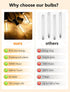 12 Pack Bulbs E12, T13 Bulbs Dimmable E12 Bulbs S14 G40 C7 LED Replacement LED Light for Outdoor String Lights