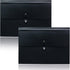 Cesil 2Pcs Expanding File Folders, 13 Pockets Accordion File Organizer for Home, School, Office