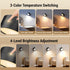 InfraRay 3 4 360Rotate, Closet (Black,Set 2) Battery Operated Wall Sconce, Remote Control, Wireless Rechargeable