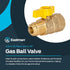 Eastman 5/8 Inch OD Flare x 3/4 Inch FIP Gas Ball Valve, Brass Connectors and Fittings for Natural Gas and Liquid Propane, 60005B by EASTMAN