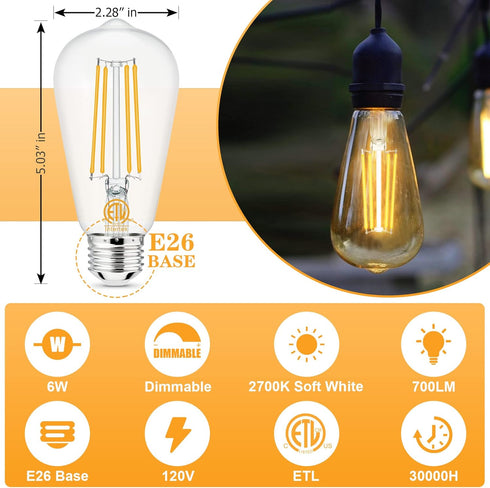 hansang E26 Edison Light Bulbs, Dimmable, 2700K Warm White, Vintage Edison Bulbs, 60 Watt Equivalent, 6W Filament Light