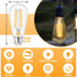 hansang E26 Edison Light Bulbs, Dimmable, 2700K Warm White, Vintage Edison Bulbs, 60 Watt Equivalent, 6W Filament Light