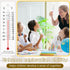 Maitys 50 Pcs Student Thermometers, Mercury Free Science Thermometer for Classroom Teaching Tools