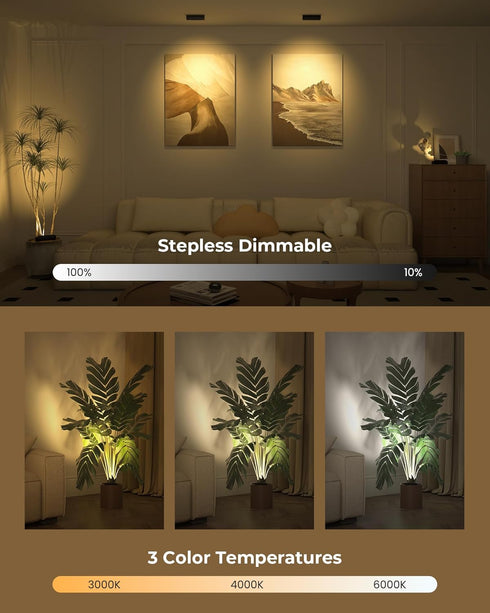 5500mAh 3CCT Dimmable, Spotlights Indoor with Daily Auto Timer, Rechargeable Plant Lights, Wireless Uplighting