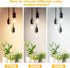 Svater 4-Pack Vintage LED Edison Bulbs 60W Equivalent, 6W ST58 2700K Warm White Antique LED Filament Bulbs, E26 Medium